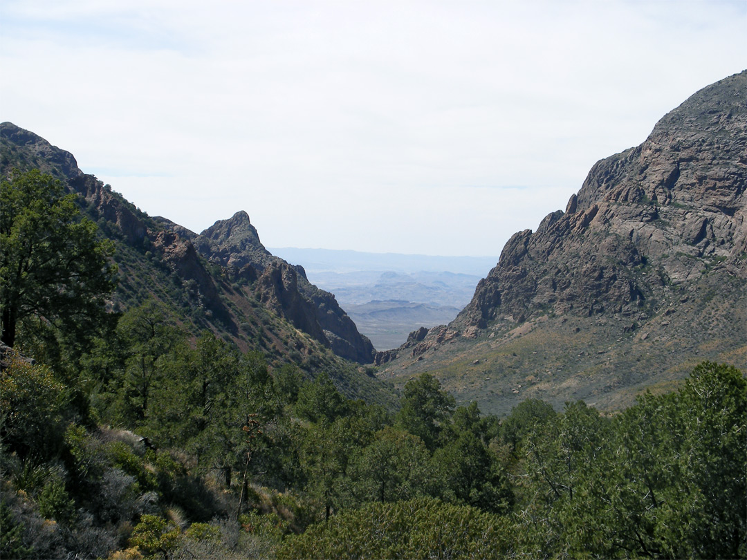 The Window, Chisos Basin