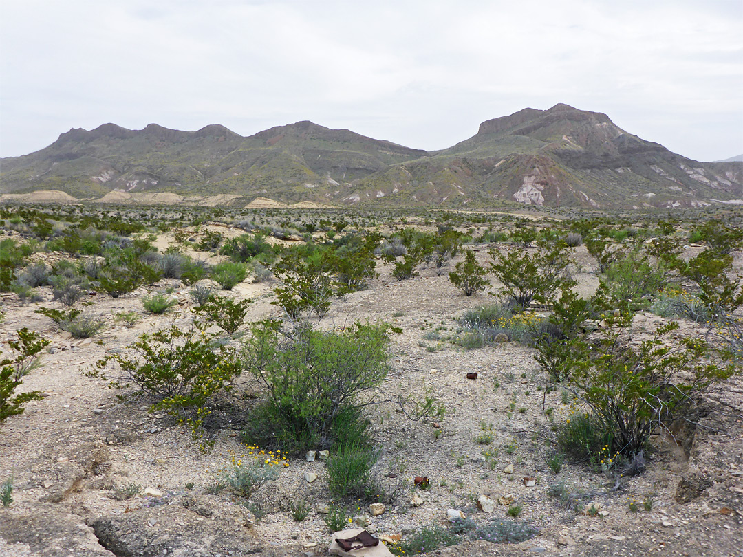 Mountains and desert