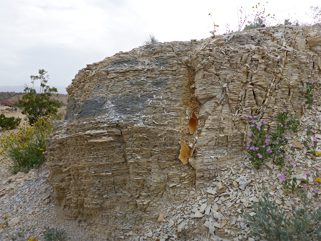 Thin-layered rocks