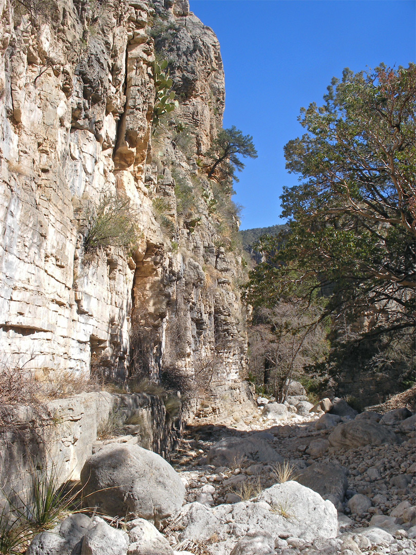 Vertical cliff