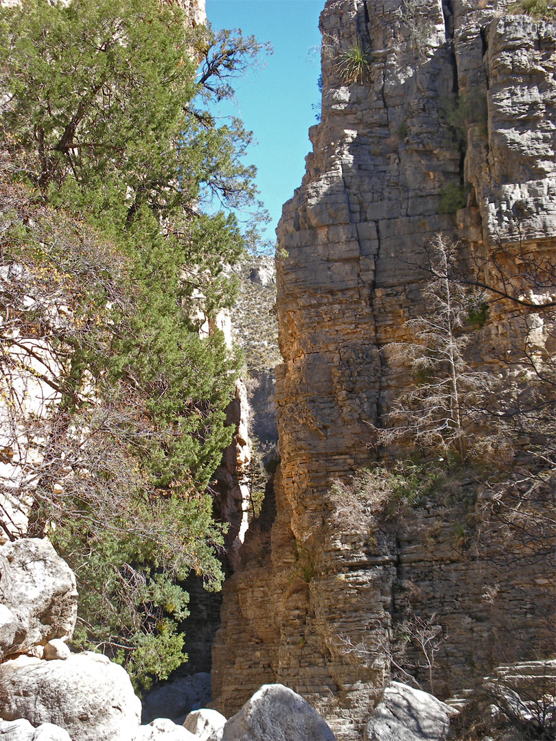 Above the narrows