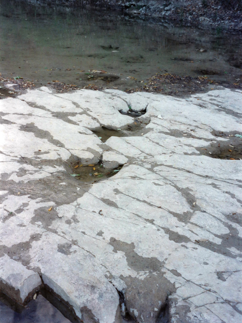 Tracks by the river