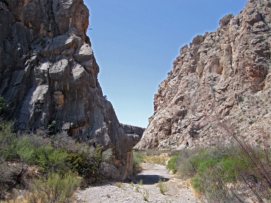 Bushes in the canyon