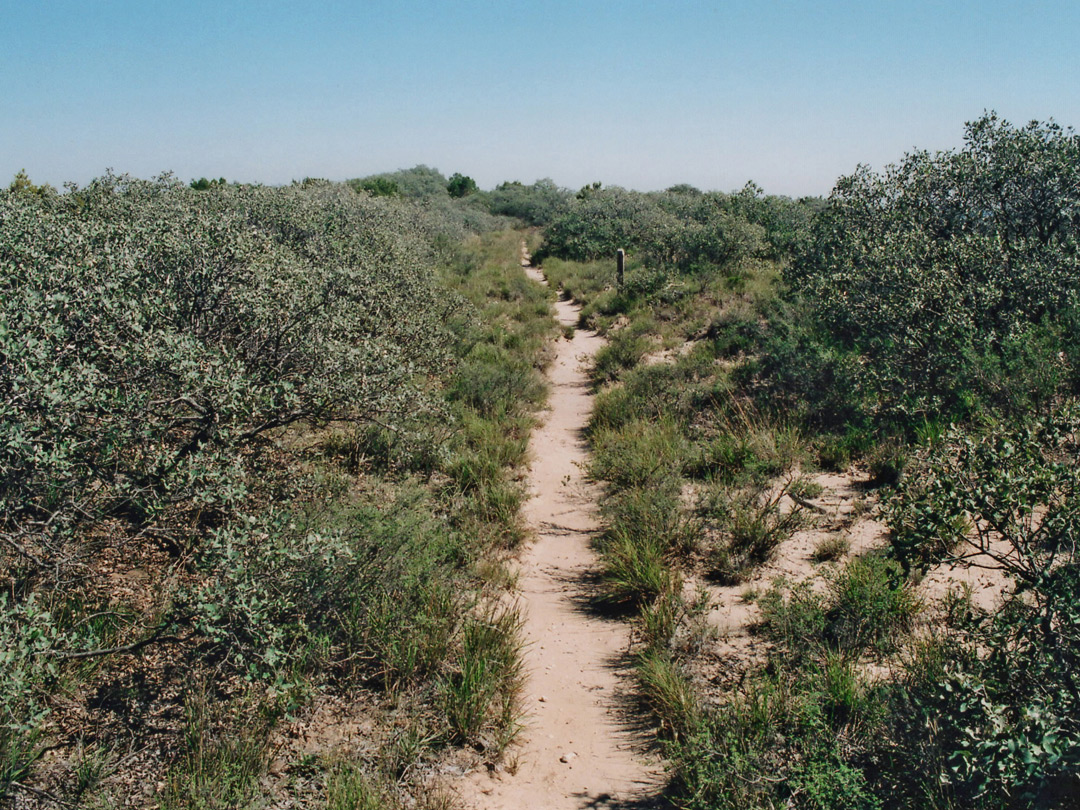 Haynes Ridge Trail