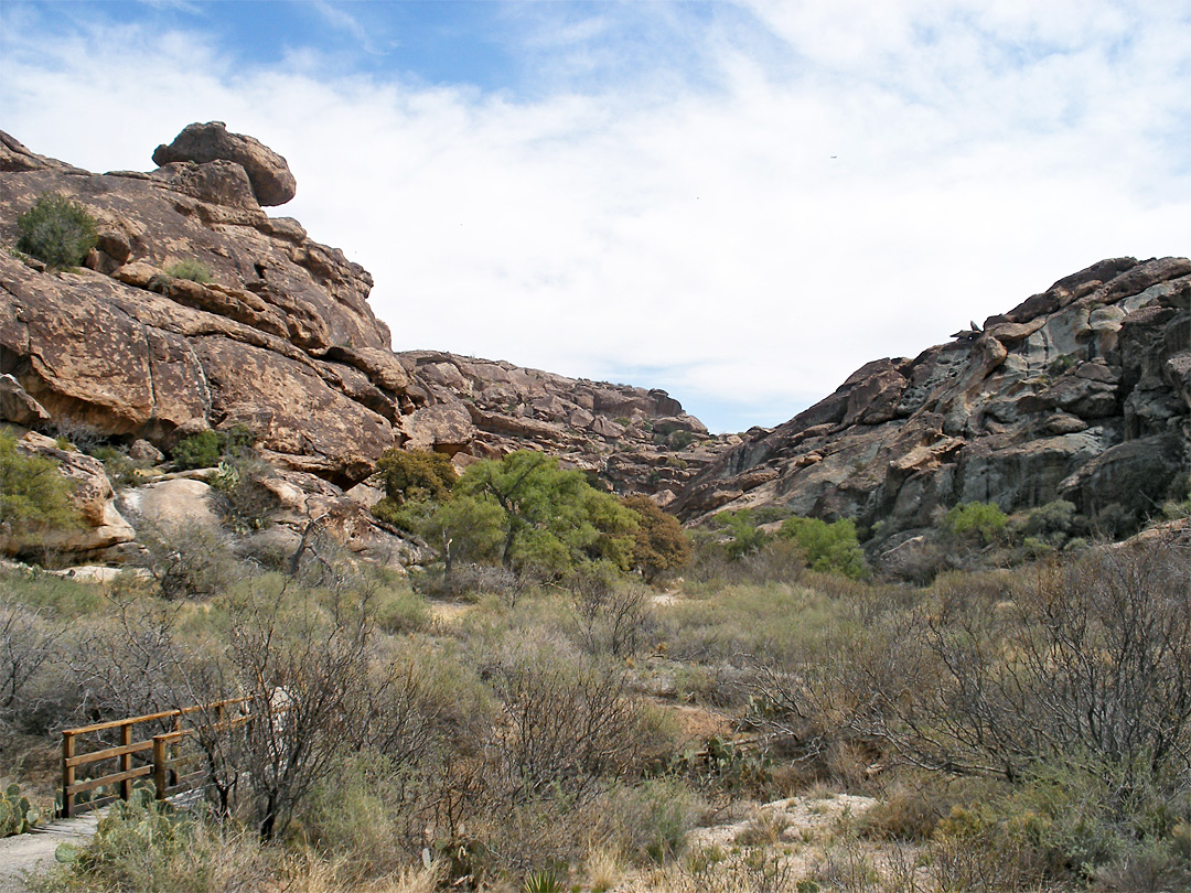 Ravine through East Mountain