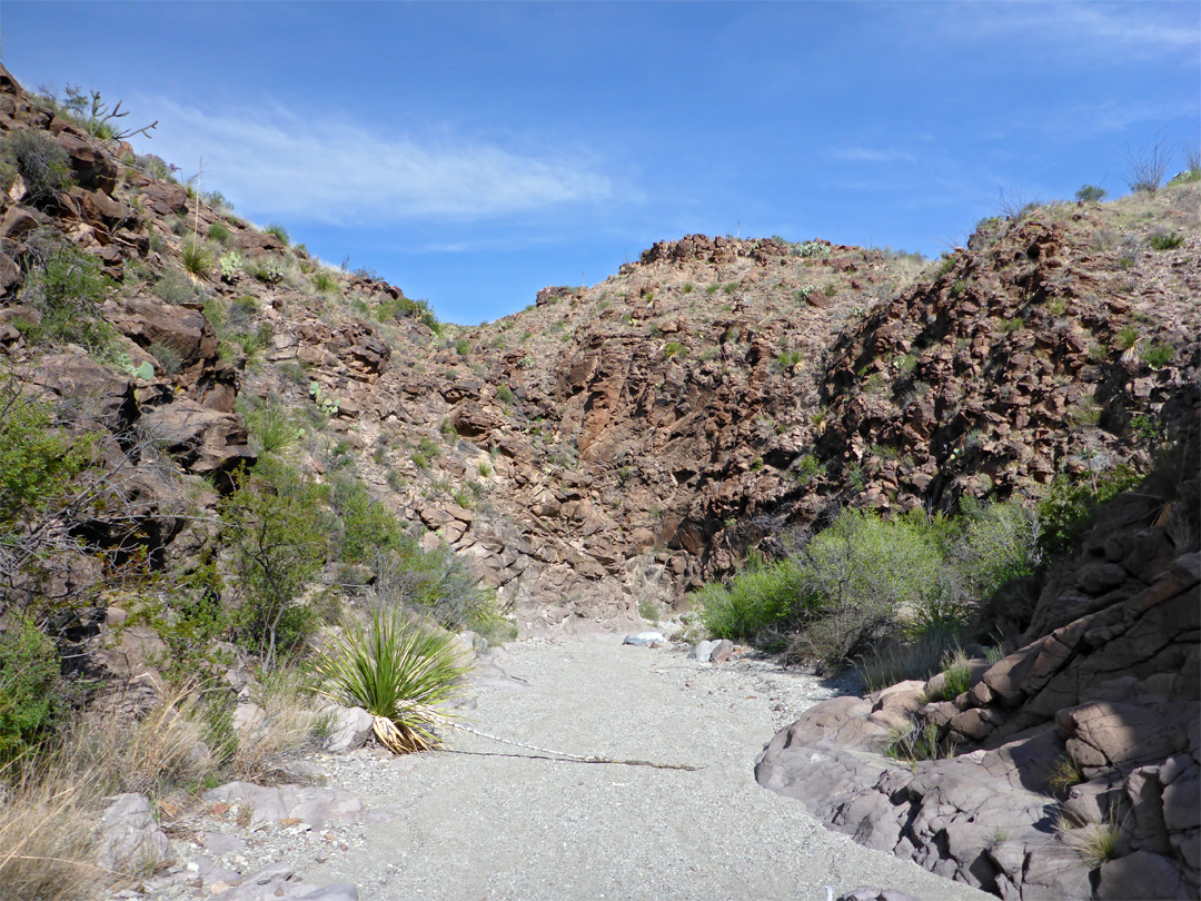 Gravelly streambed