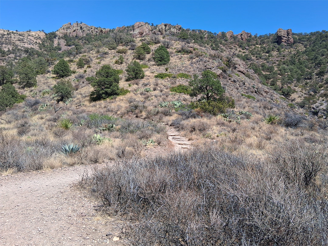 Steps on the trail