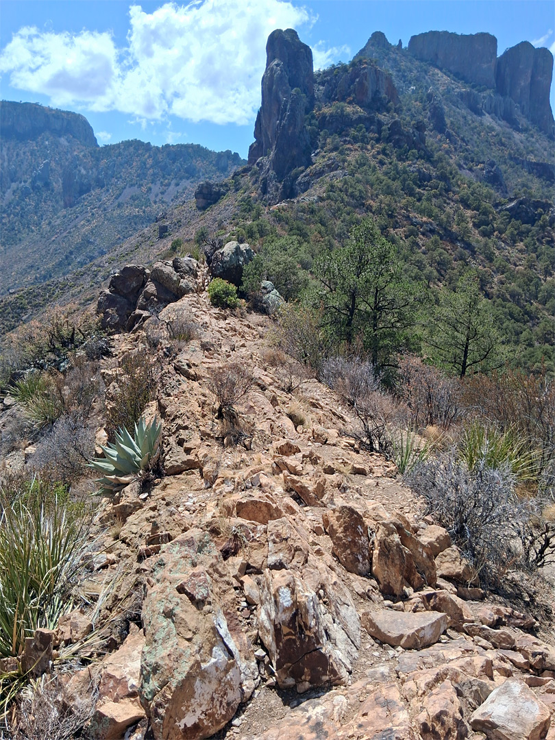 Rocky divide