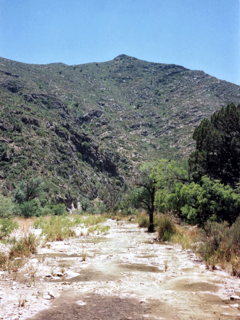 Pools along McKittrick Creek