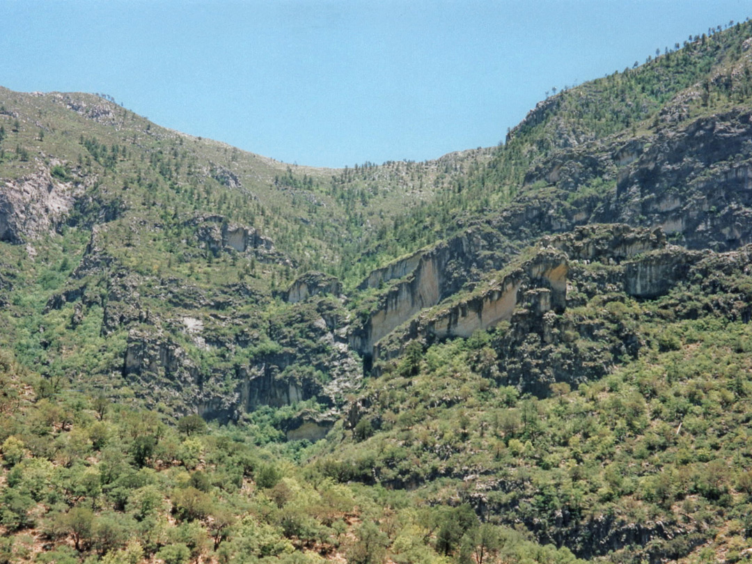 Upper McKittrick Canyon