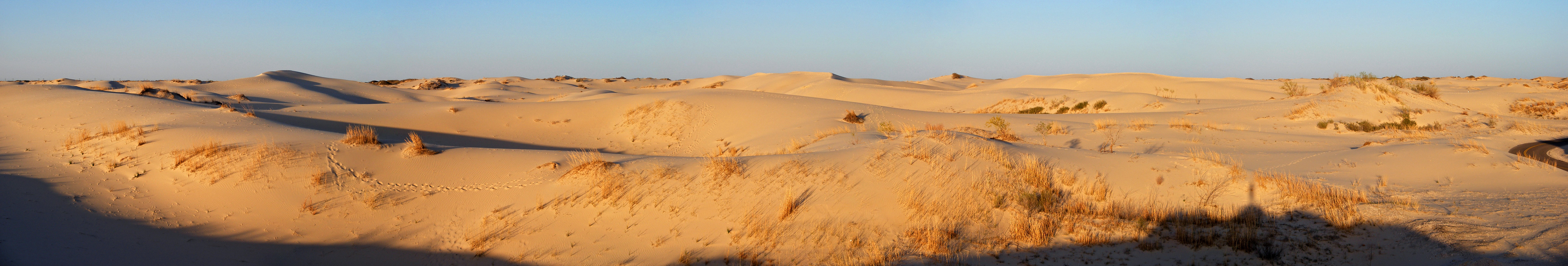 Evening sun on the Monahans Sandhills