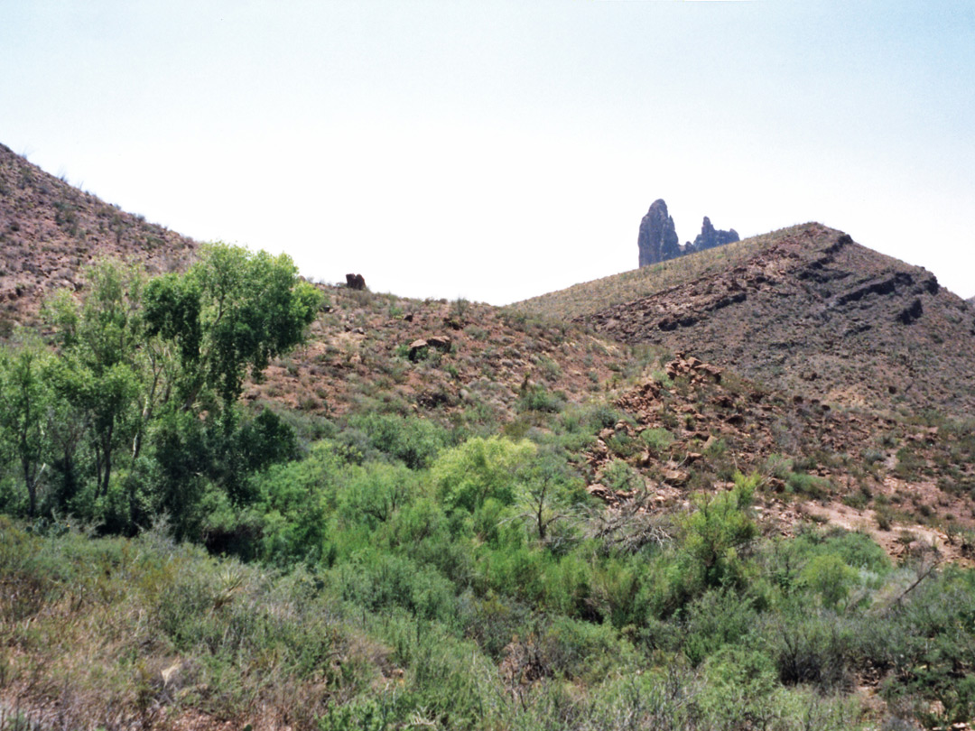 Mule Ears Spring