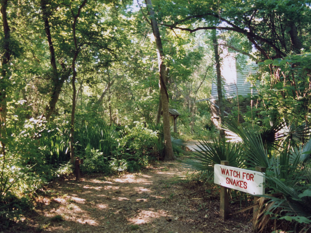 Start of the Palmetto Trail