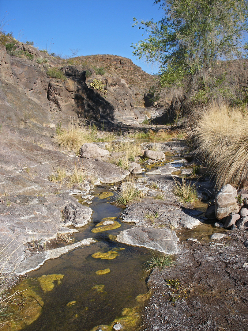 Shallow stream