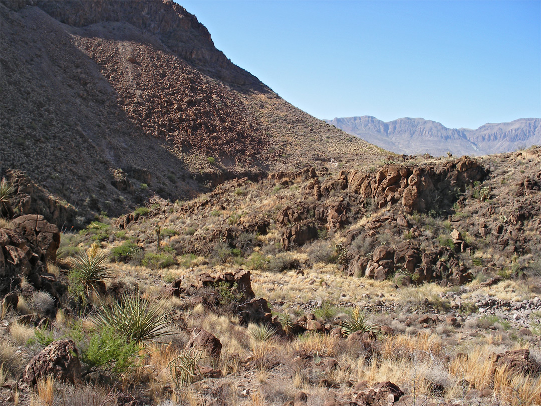 Stony dry wash