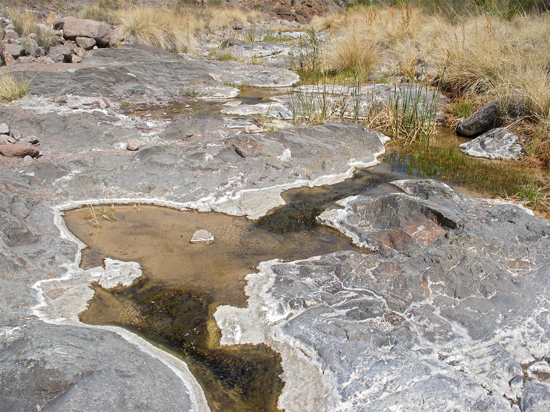 Pools along the stream