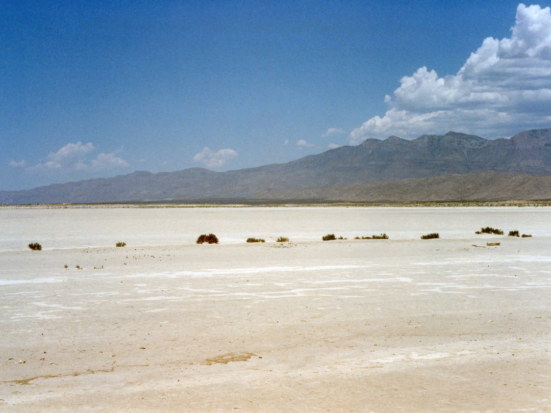 Salt Flat