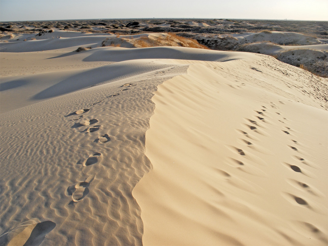 Footprints