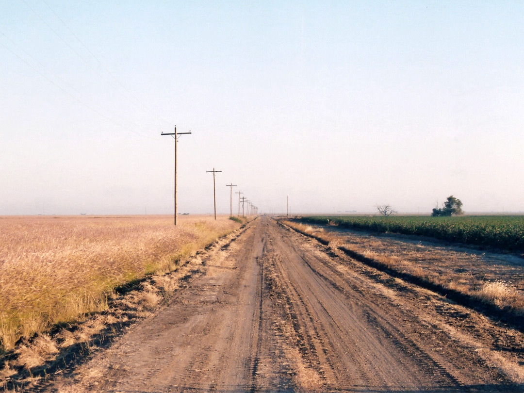 Back road in the Panhandle