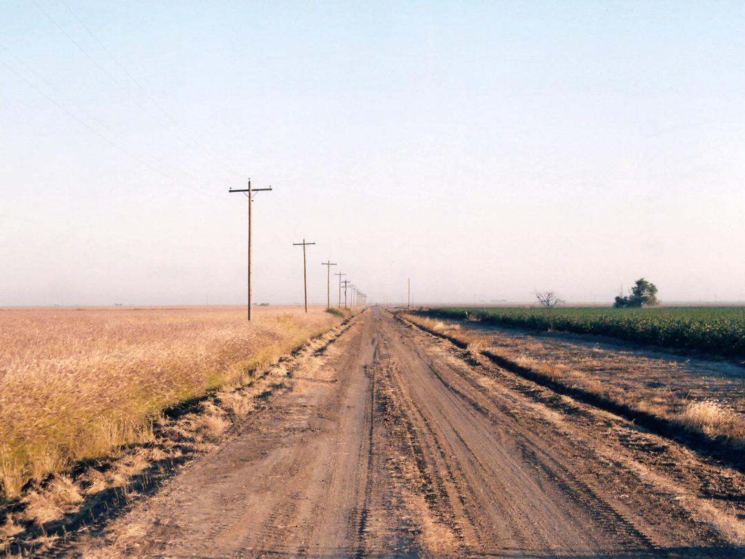 Back road in the Panhandle