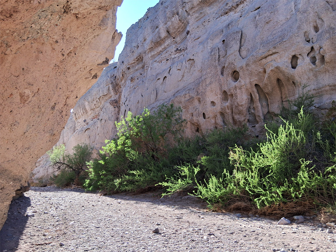 Tuff cliffs