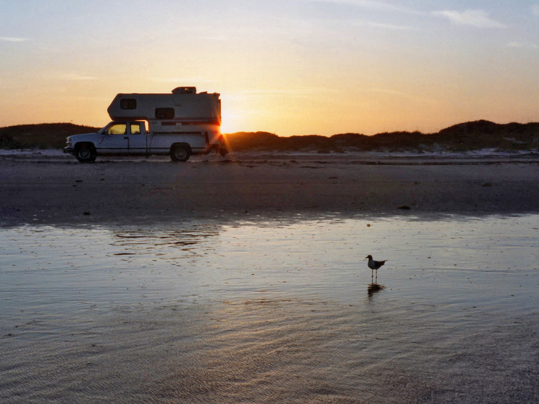 national seashore texas
