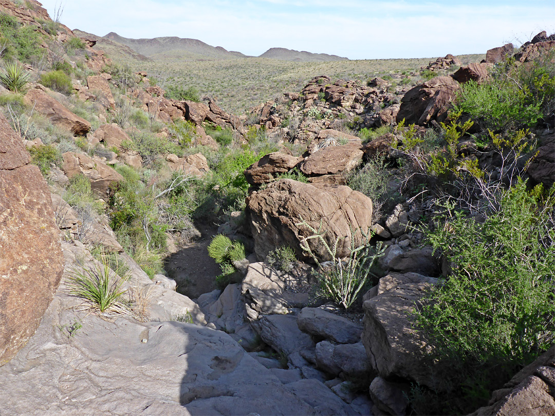 Boulders in the upper streamway