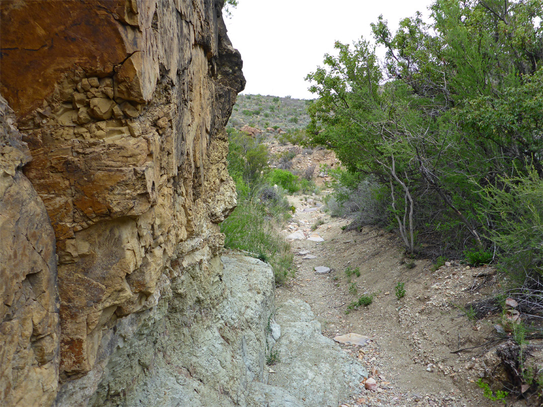 Low cliffs