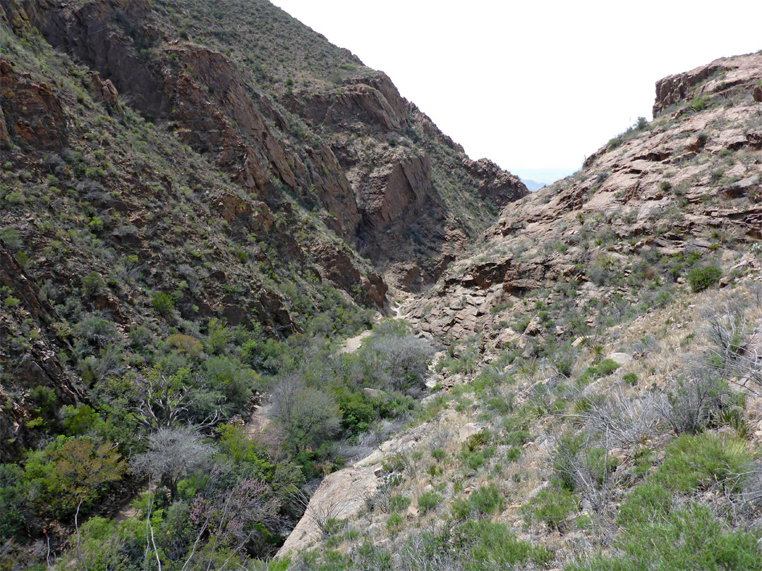 Canyon of Oak Creek