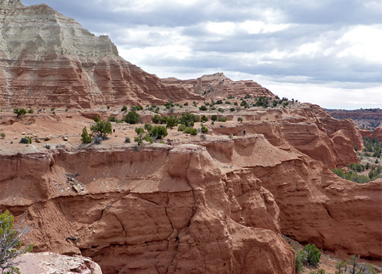 Hiker on the edge of the cliffs