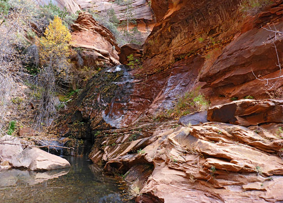 Barrier Falls, Right Fork of North Creek