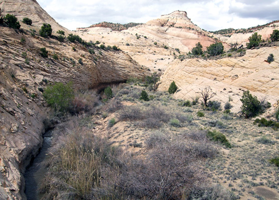 Slickrock slopes around Boulder Creek