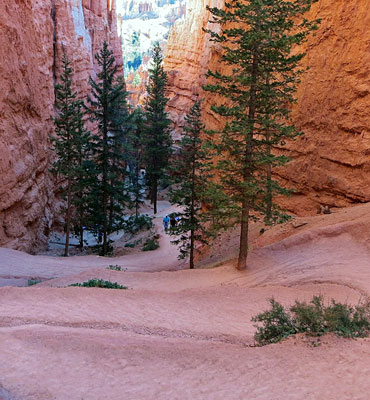 Navajo Trail, Bryce Canyon National Park, Utah