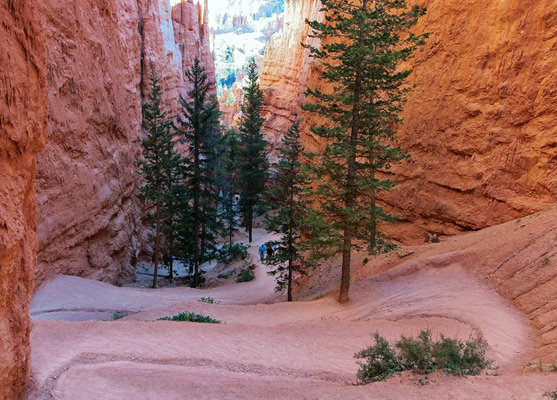 Tight switchbacks at the start of the Navajo Trail