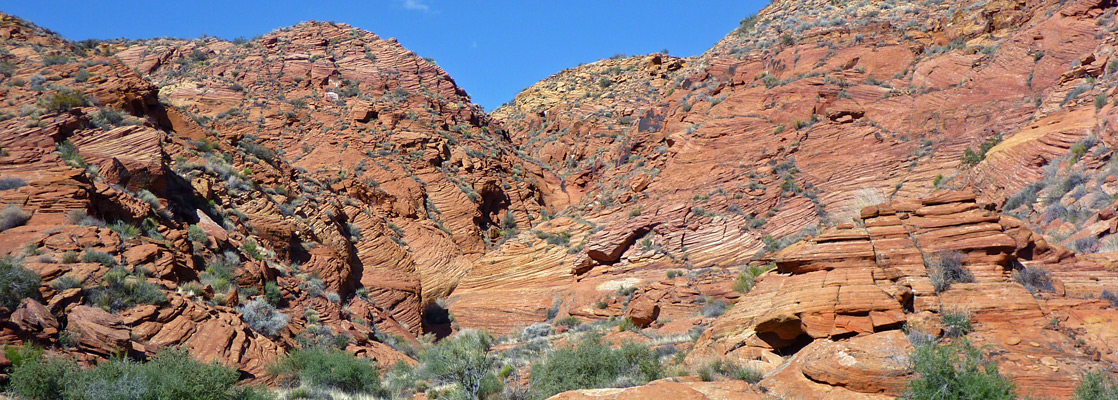 Wide part of the canyon of Buckskin Hollow