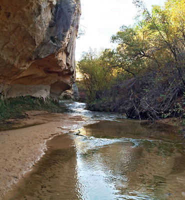 Stream below the falls