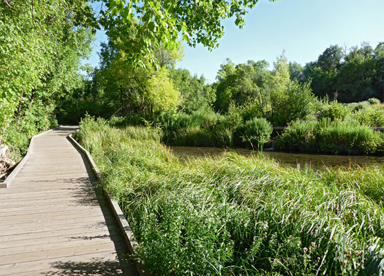 Boardwalk trail at Cascade Springs