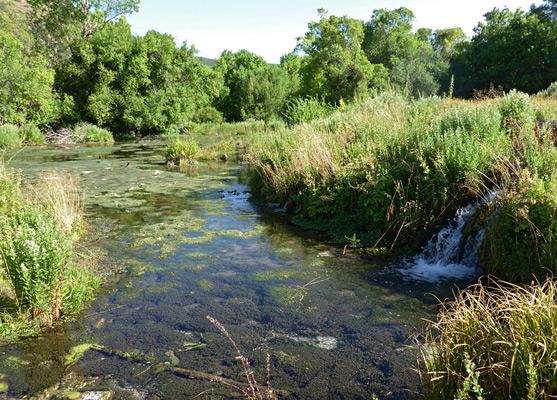 Calm, shallow pool at Cascade Springs