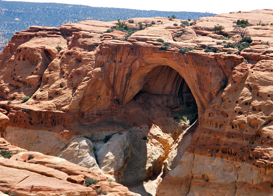 Cohab Canyon, Frying Pan Cassidy Arch Trails, Capitol Reef National Park, Utah