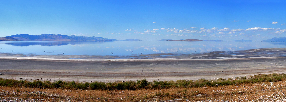 are dogs allowed on antelope island