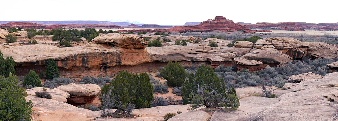 Cave Spring Trail