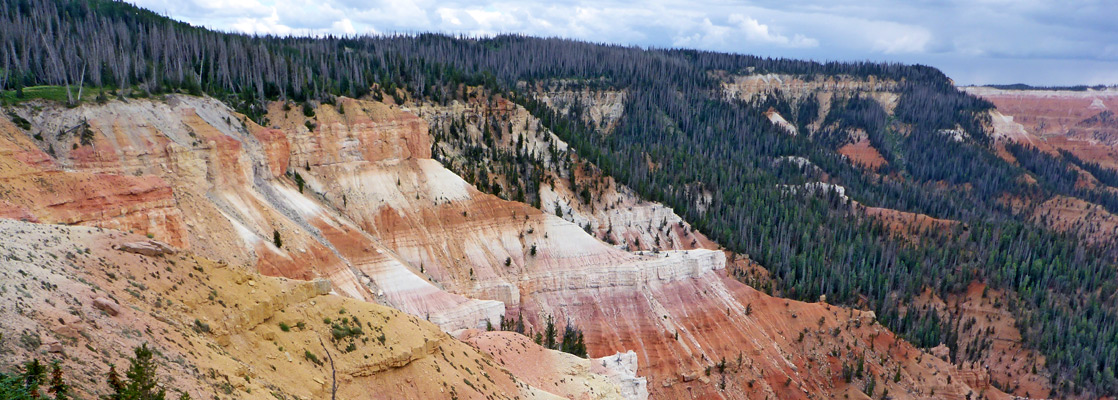 North View, Cedar Breaks