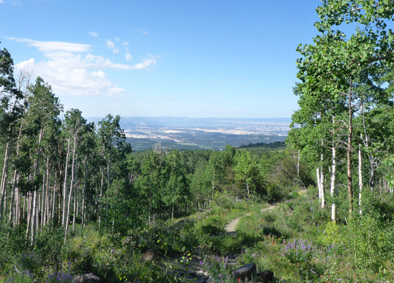 View south towards the Escalante canyons