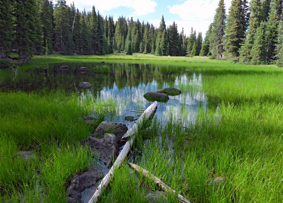 Circle Lake