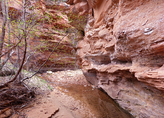 Narrows of Coalpits Wash