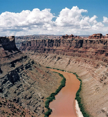 Colorado River, at the confluence