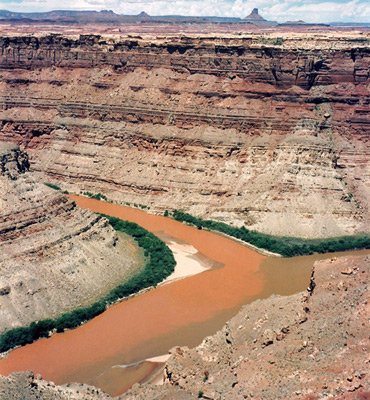 The Green and Colorado Rivers