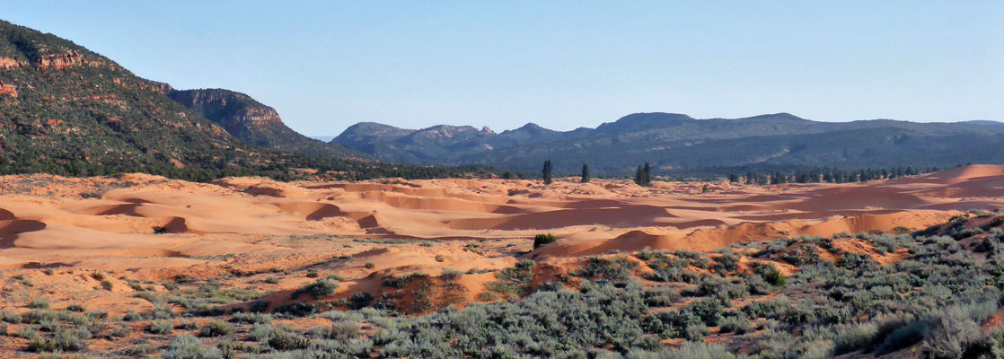 Coral pink sand, and sagebrush