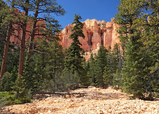 Streambed at the upper end of Corral Hollow