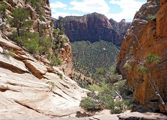 Crawford Wash meets Parunuweap Canyon